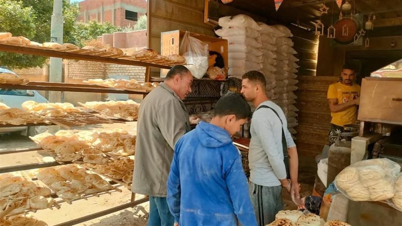 نائب محافظ المنيا..تحرير