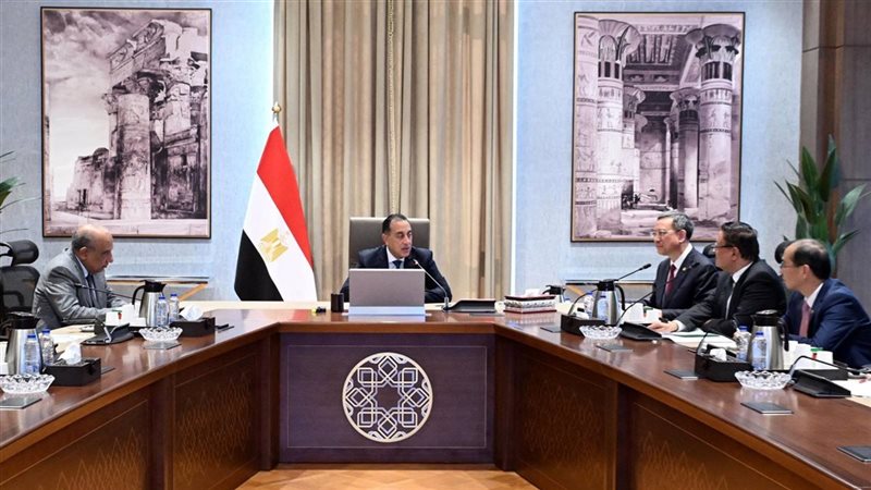 مصطفى مدبولي يبحث مع شركة صينية كبرى تعزيز التعاون في الطاقة