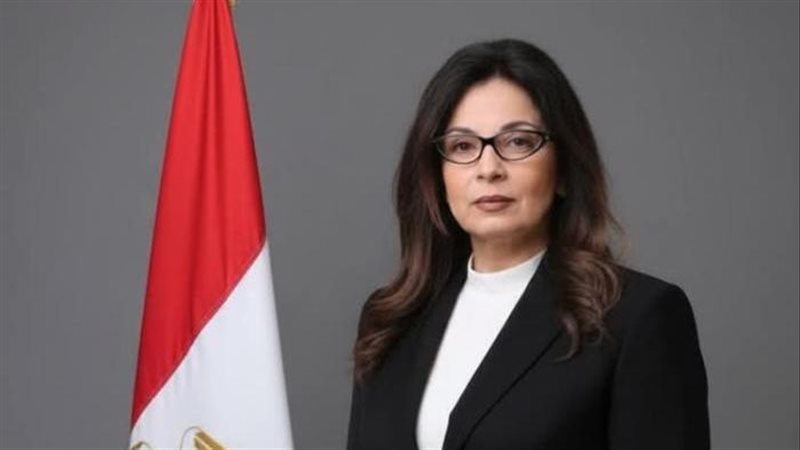 استقالة وزير الثقافة جيهان زكي