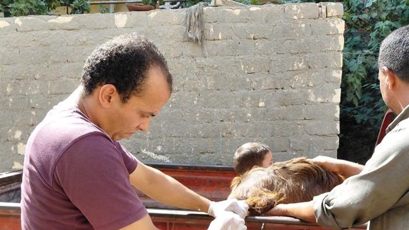 الإسماعيلية تواصل