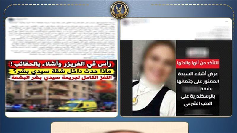 إحالة محامية الإسكندرية المتهمة بقتل والدتها للطب النفسي